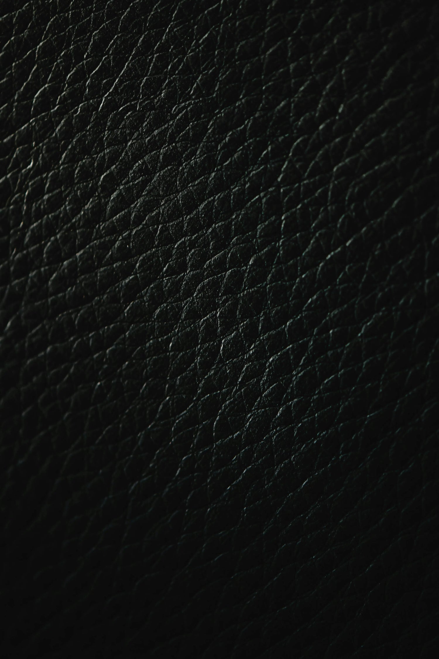 Leather Goods Collection Velvex